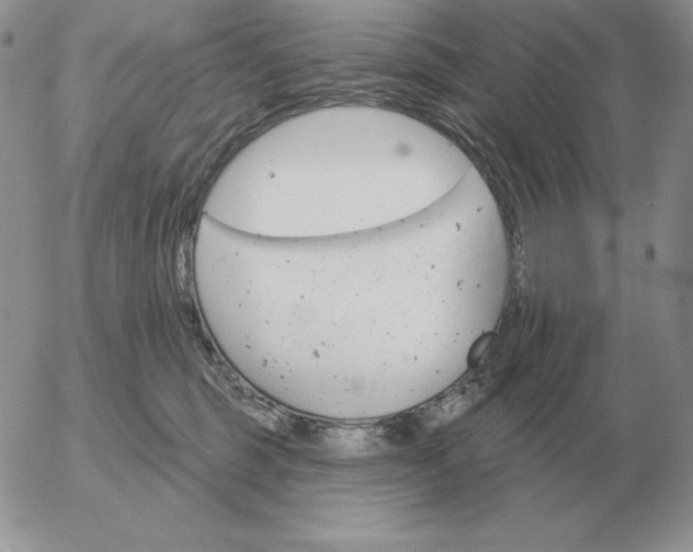 X0000052980375200507221334