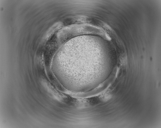 X0000052980376200507221334