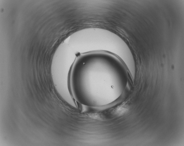 X0000052980377200507221334