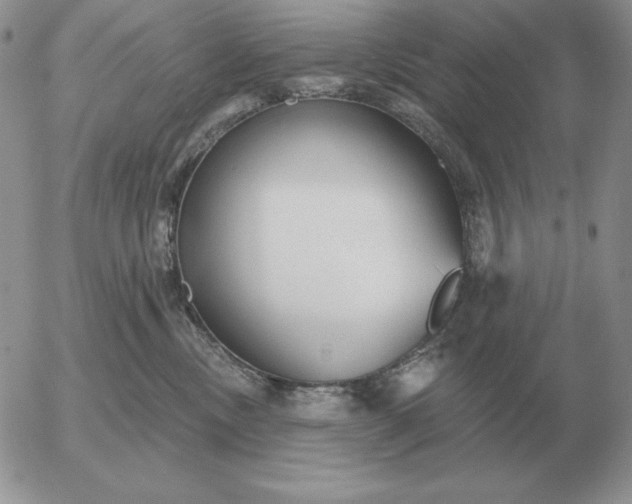 X0000052980378200507221334