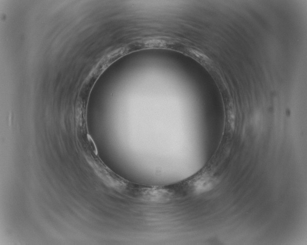 X0000052980379200507221334