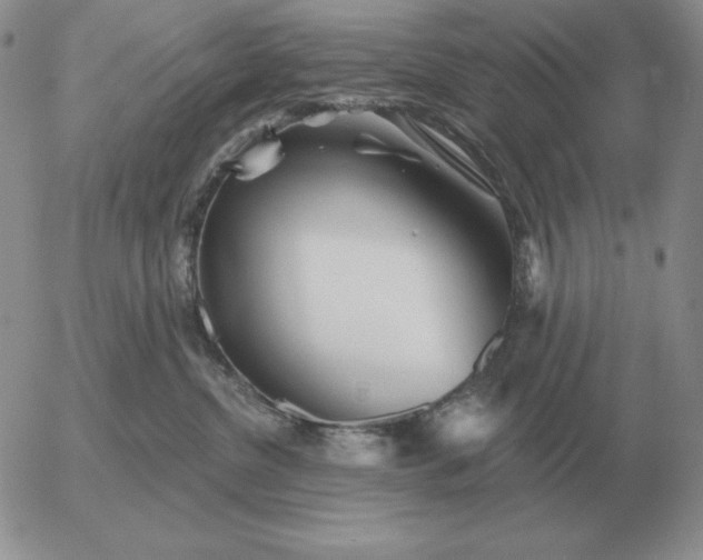 X0000052980380200507221334