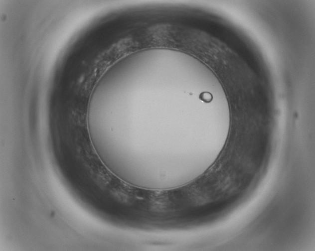 X0000052980382200507221334