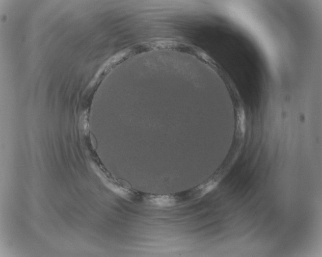 X0000052980383200507221334