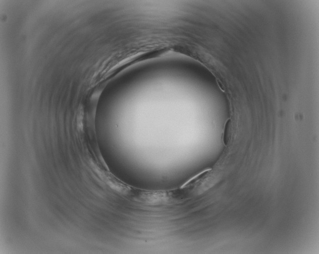 X0000052980384200507221334