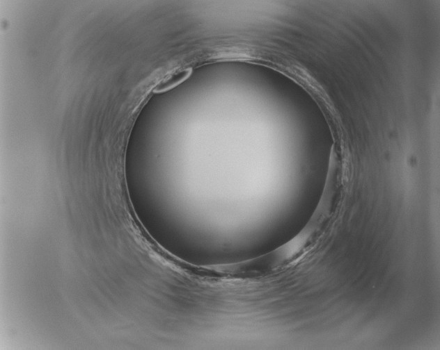 X0000052980385200507221333