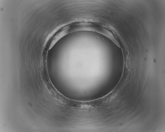 X0000052980388200507221333