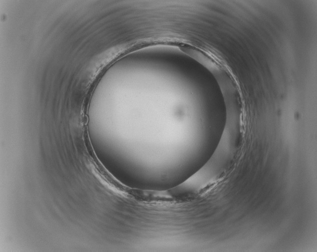 X0000052980389200507221333