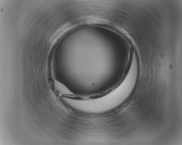 X0000052980391200507221333