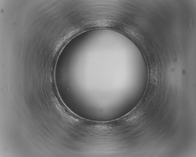 X0000052980394200507221333