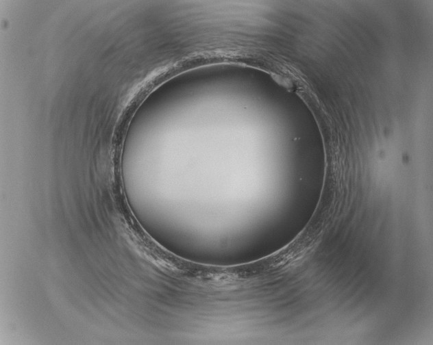 X0000052980395200507221333