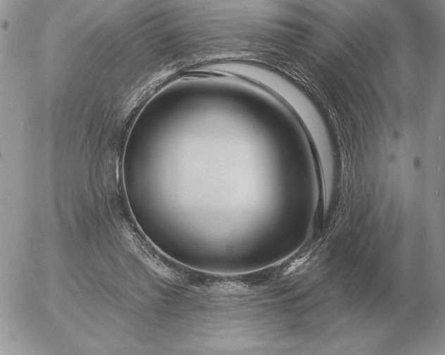 X0000052980397200507221333