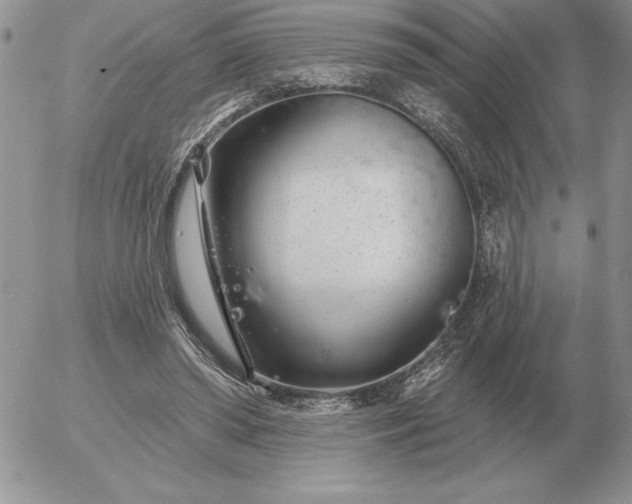 X0000052980398200507221333