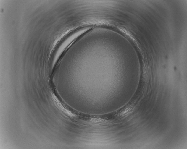 X0000052980399200507221333