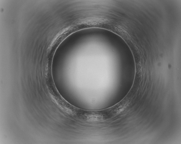 X0000052980400200507221333