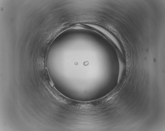 X0000052980401200507221333