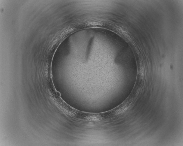 X0000052980402200507221333