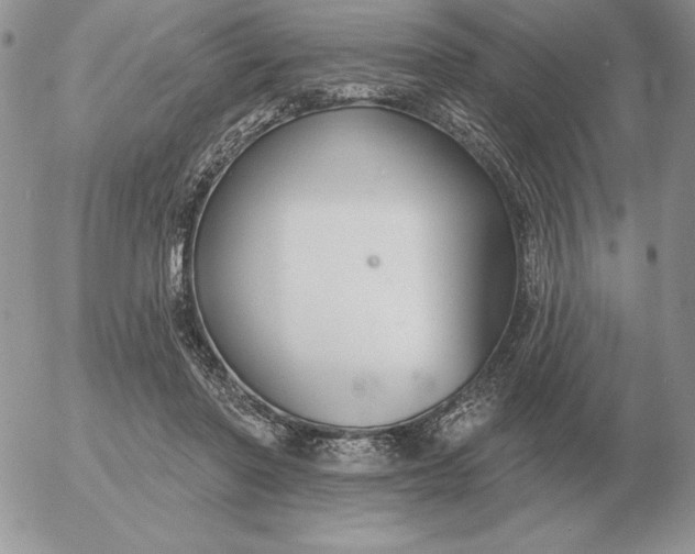 X0000052980406200507221333