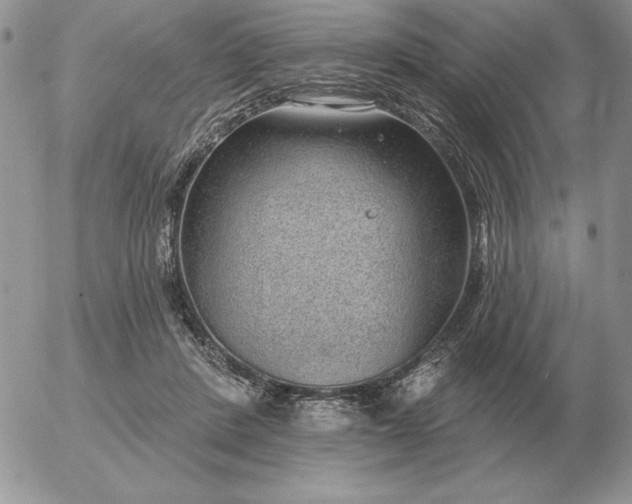 X0000052980408200507221332