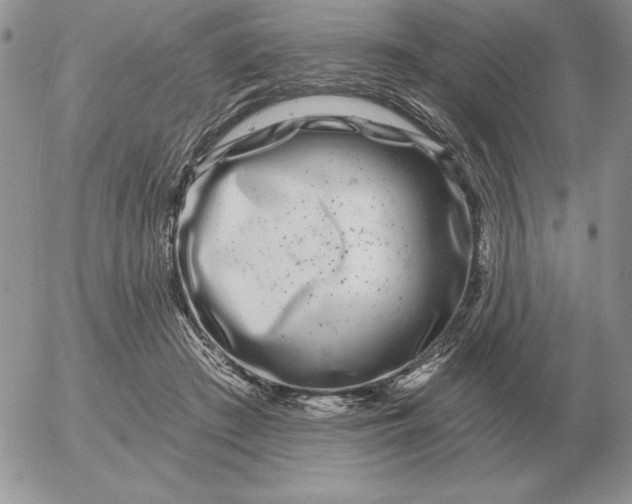 X0000052980409200507221332