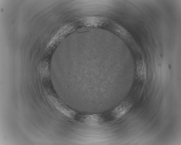 X0000052980411200507221332