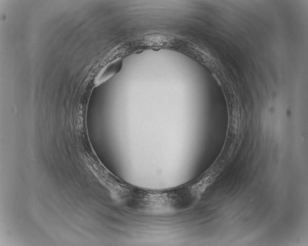 X0000052980413200507221332