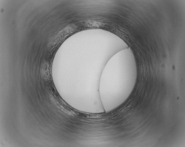 X0000052980414200507221332