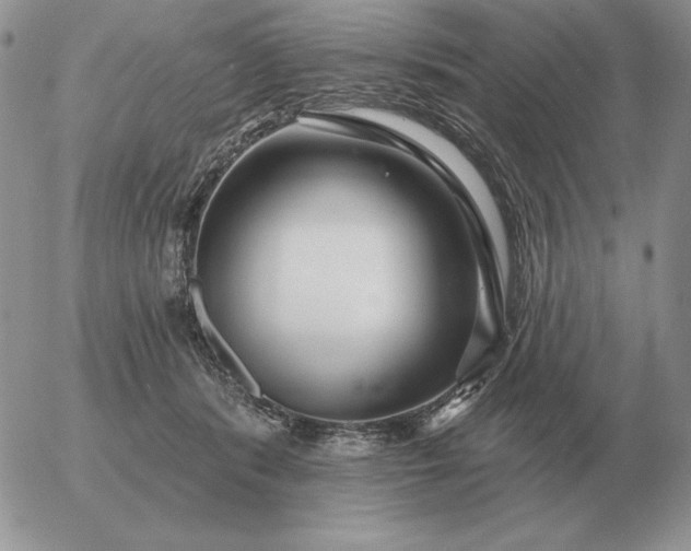 X0000052980416200507221332