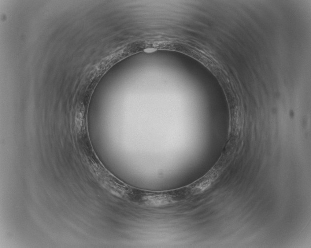 X0000052980417200507221332