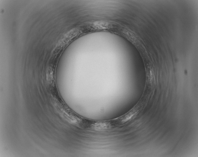 X0000052980418200507221332