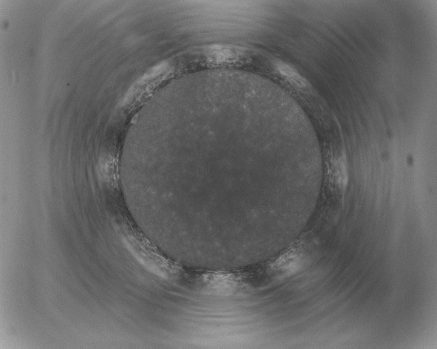 X0000052980419200507221332