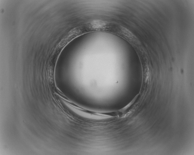 X0000052980421200507221332