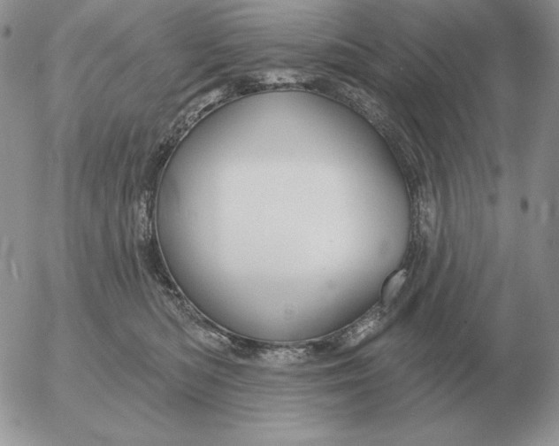 X0000052980422200507221332