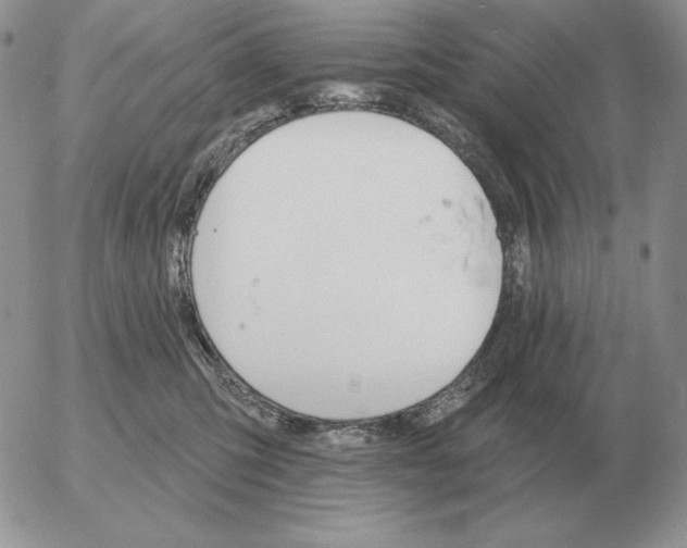 X0000052980423200507221332