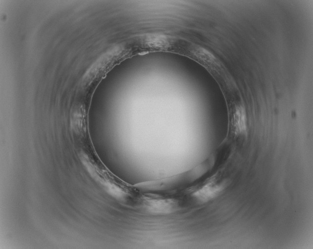 X0000052980424200507221332