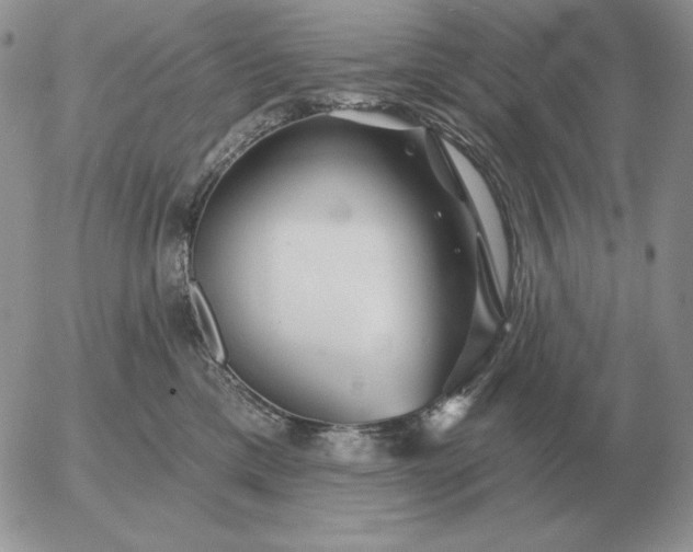 X0000052980425200507221332