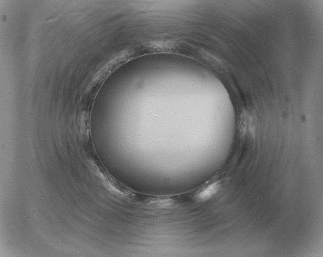 X0000052980428200507221332