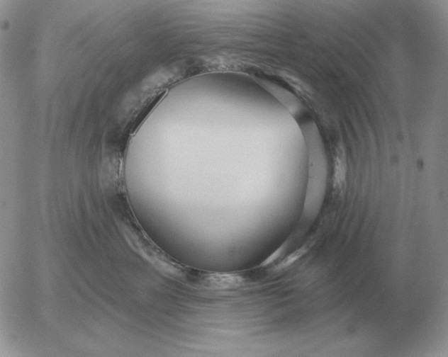 X0000052980429200507221332