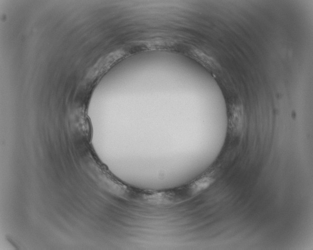 X0000052980430200507221332