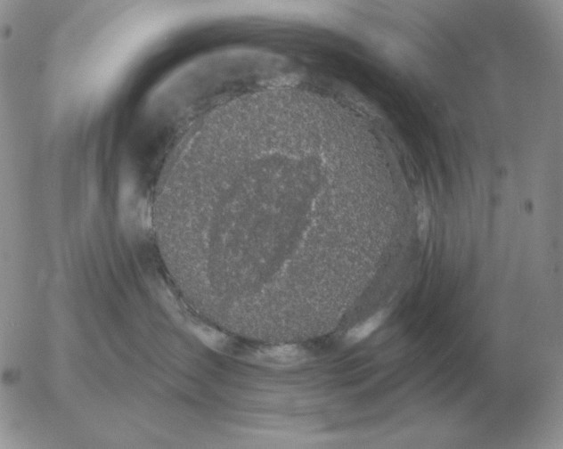 X0000052980431200507221332