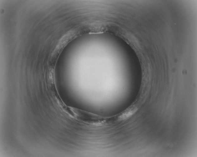 X0000052980432200507221332