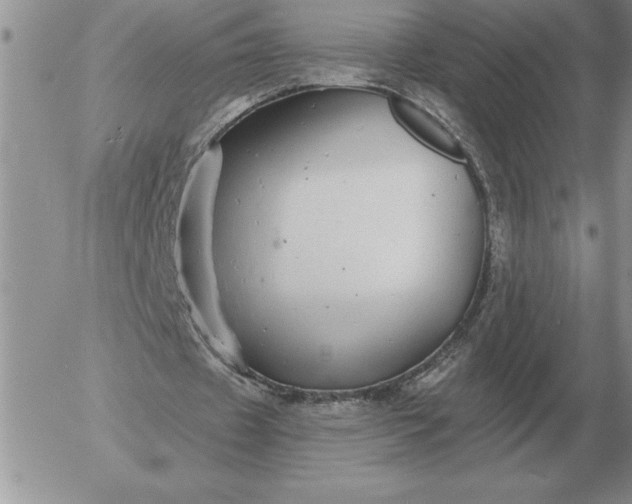 X0000052980433200507221331