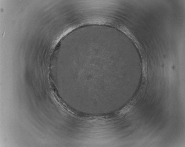 X0000052980434200507221331