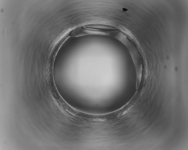 X0000052980436200507221331