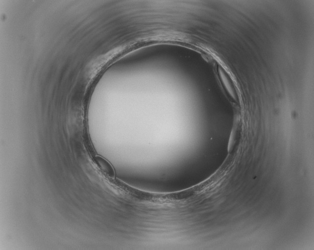 X0000052980437200507221331