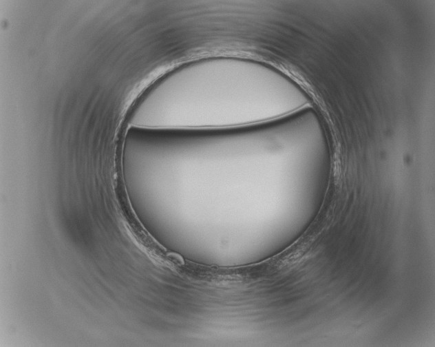 X0000052980438200507221331