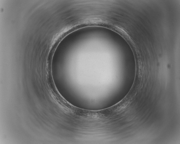 X0000052980439200507221331