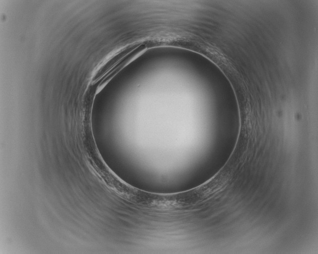 X0000052980440200507221331