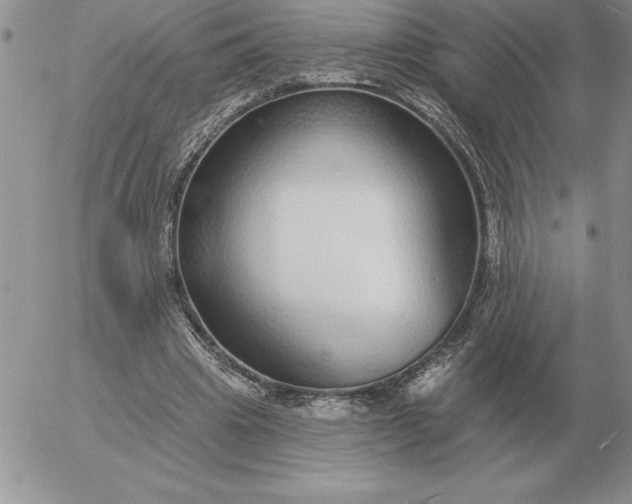 X0000052980441200507221331