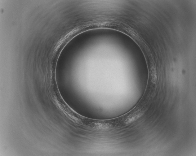 X0000052980442200507221331